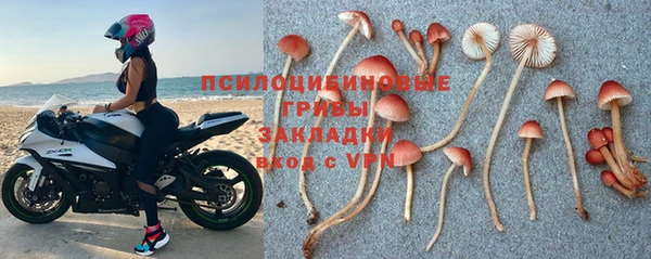 каннабис Верея