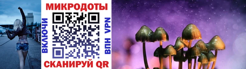 Галлюциногенные грибы мицелий  наркотики  Вятские Поляны 